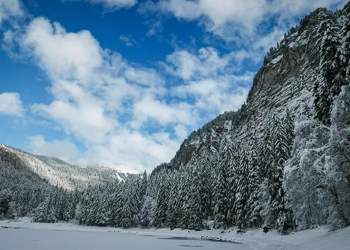 Du Montriond