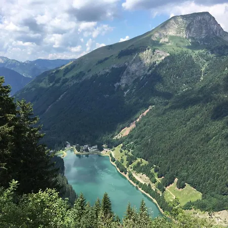Du Montriond